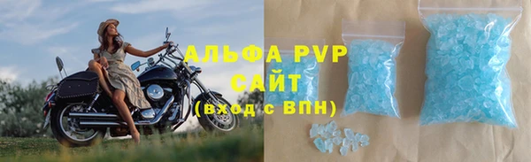 стафф Ладушкин