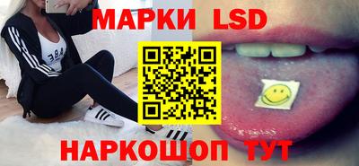 крисы Бийск