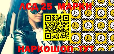 крисы Бийск