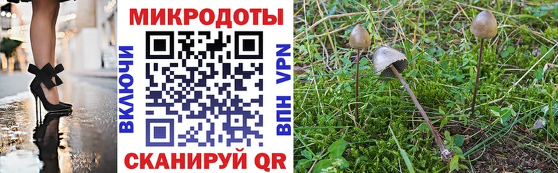 Галлюциногенные грибы мухоморы Карачаевск