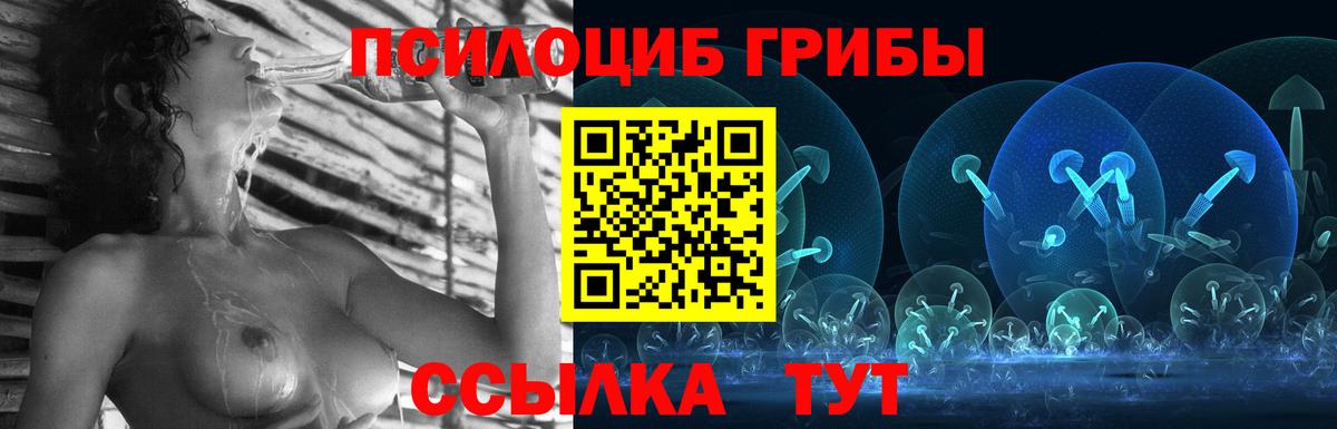 Псилоцибиновые грибы Magic Shrooms Карачаевск