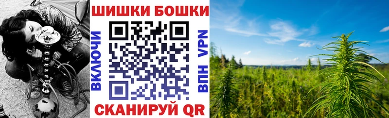 Шишки марихуана White Widow  ОМГ ОМГ рабочий сайт  Карачаевск 